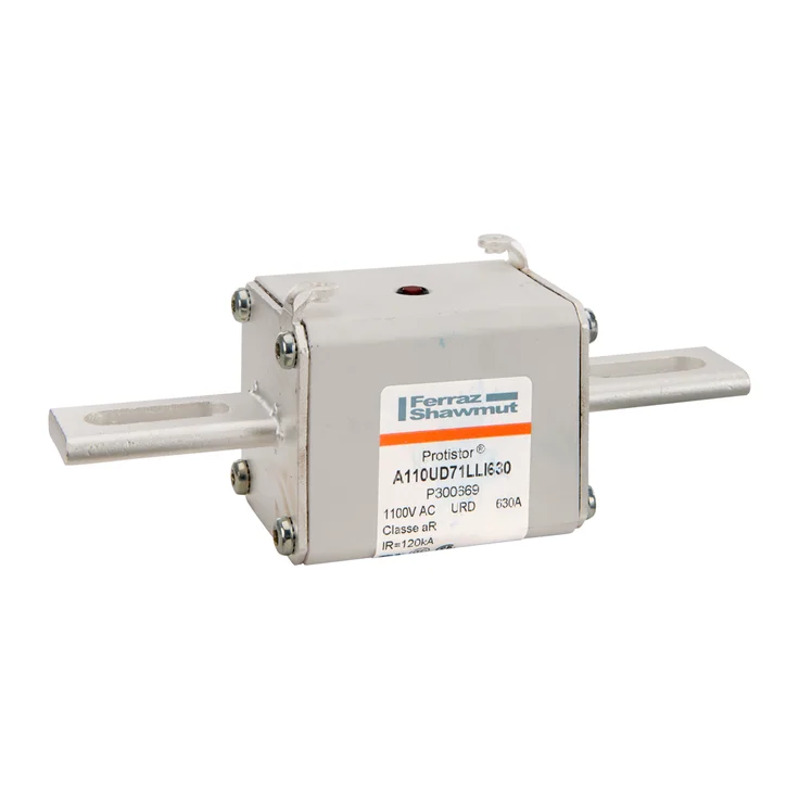 Jin Freeksu専用 P300669 - A110UD71LLI630 Fuses | Mersen
