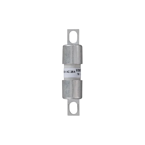 X097494 - BS10UE25V25 Fuses | Mersen