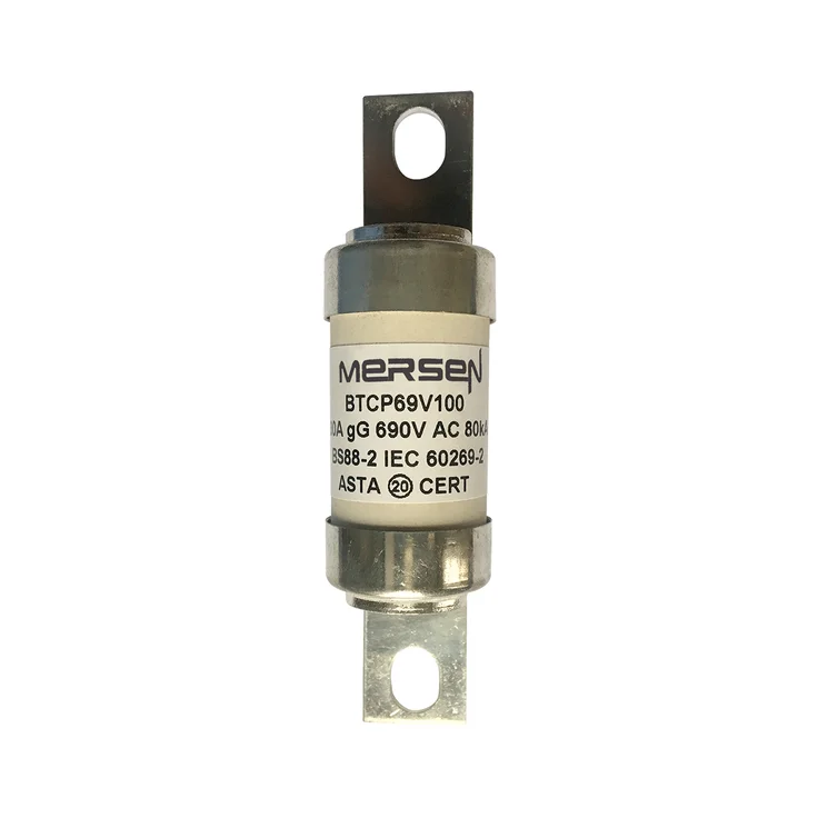 T1006612 - BTCP69V100 Fuses | Mersen
