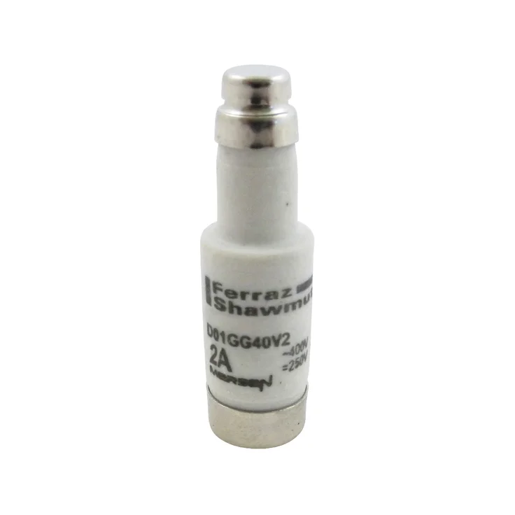 T214676 - D01GG40V2 Fuses | Mersen
