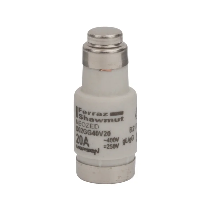 B217742 - D02GG40V20 Fuses | Mersen