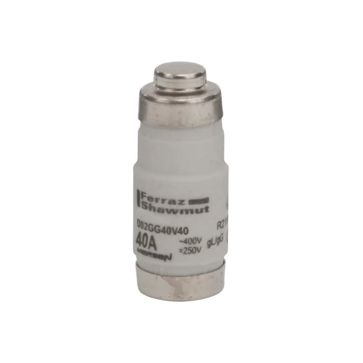 Q1028666 - D02GG40V40 Fuses | Mersen