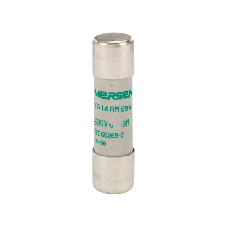 S215135 - FR14AM69V6 Fuses | Mersen