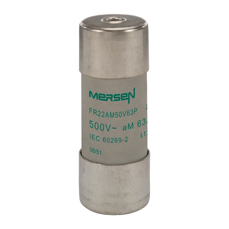 B217696 - FR22AM50V63P Fuses | Mersen