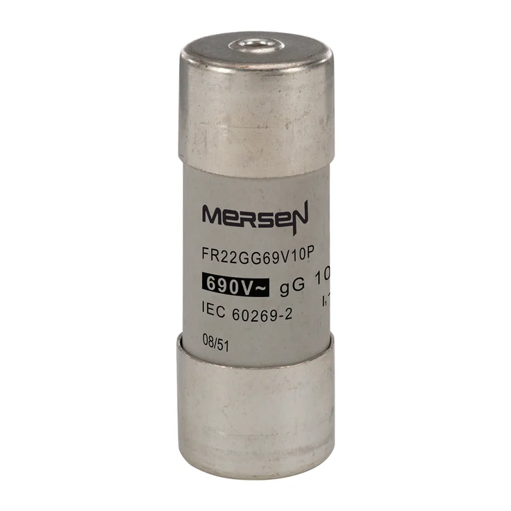 ケイジ W217691 - FR22GG69V10P Fuses | Mersen