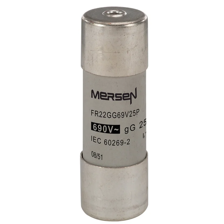M201307 - FR22GG69V25P Fuses | Mersen