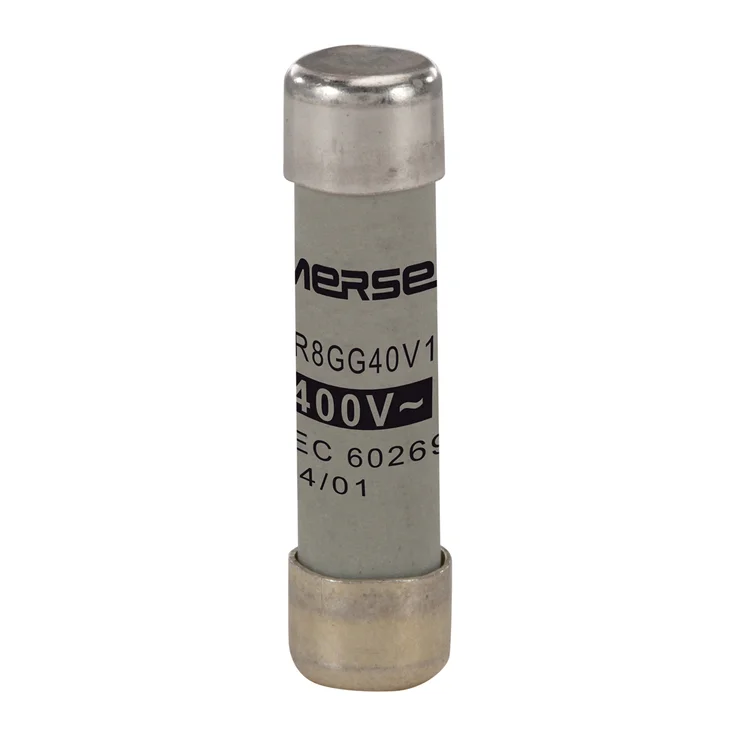 C218709 - FR8GG40V1 Fuses | Mersen