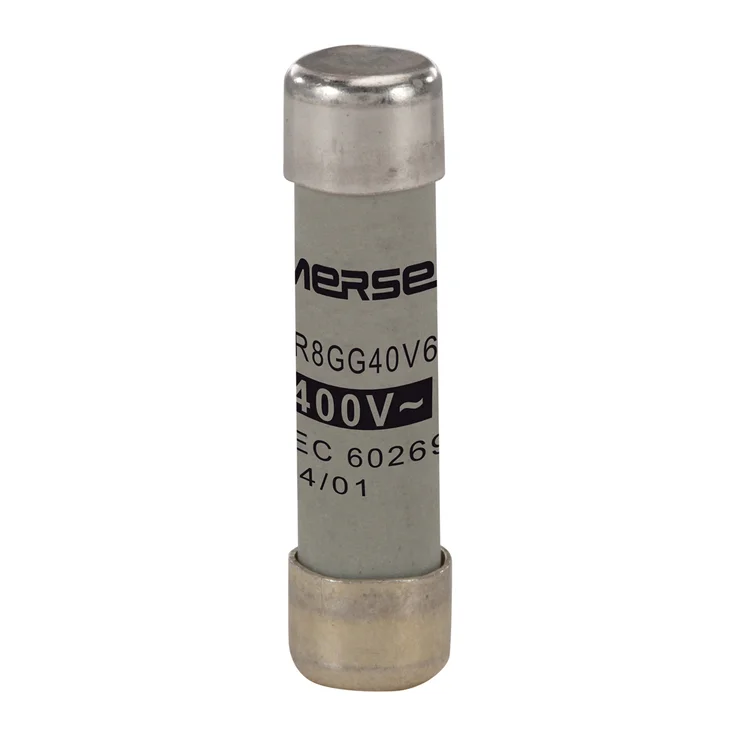 ゆきランQ FUSE 2個セット S228498 - NH2GG69V200 Fuses | Mersen