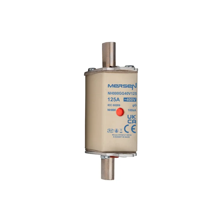 X1208371 - NH000GG40V125 Fuses | Mersen