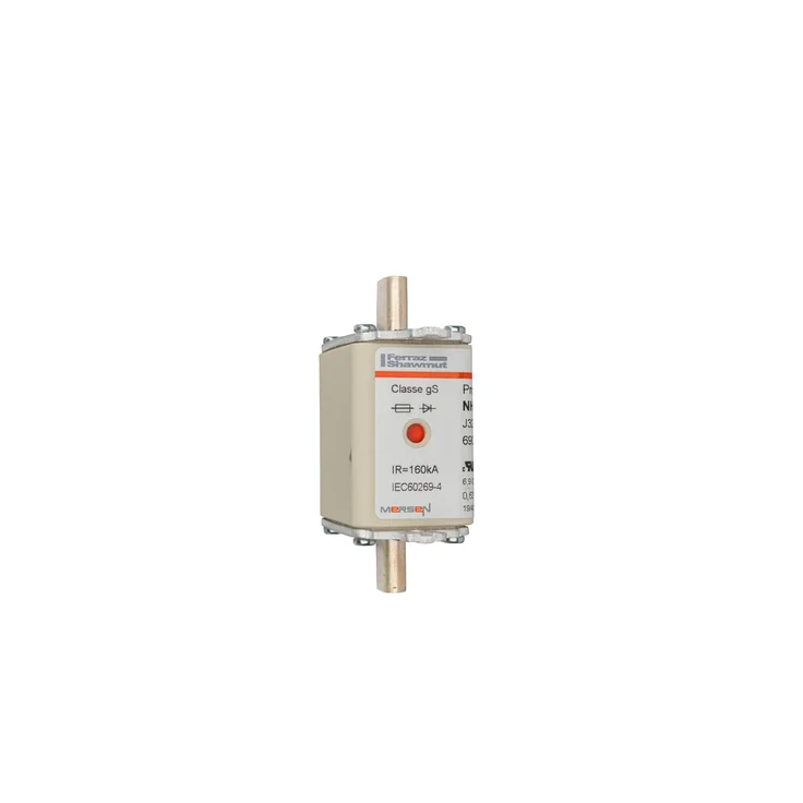 J322169 - NH00GS69V160PV Fuses | Mersen