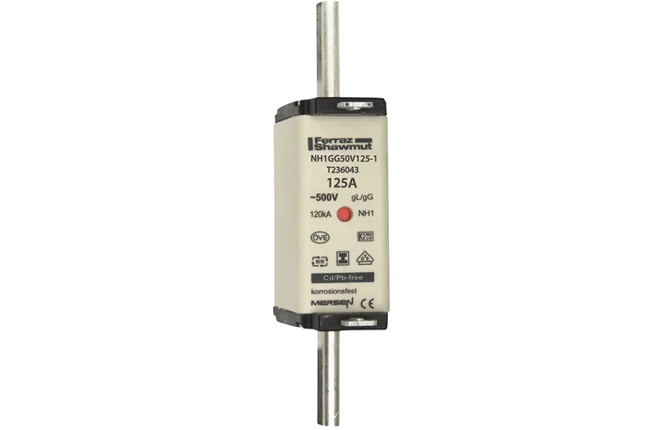 T236043 - NH1GG50V125-1 Fuses | Mersen