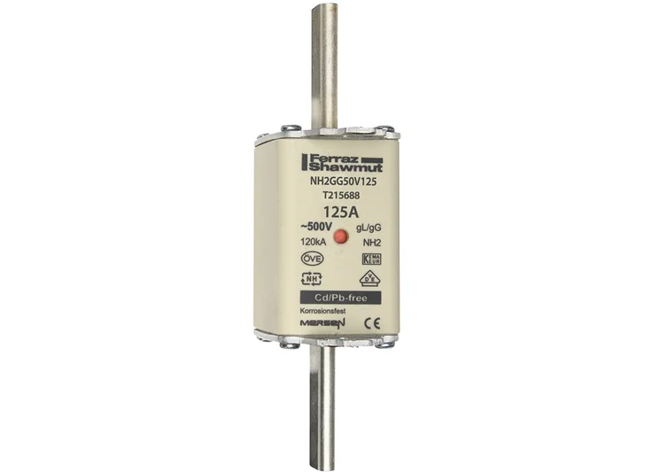 トナリ T215688 - NH2GG50V125 Fuses | Mersen