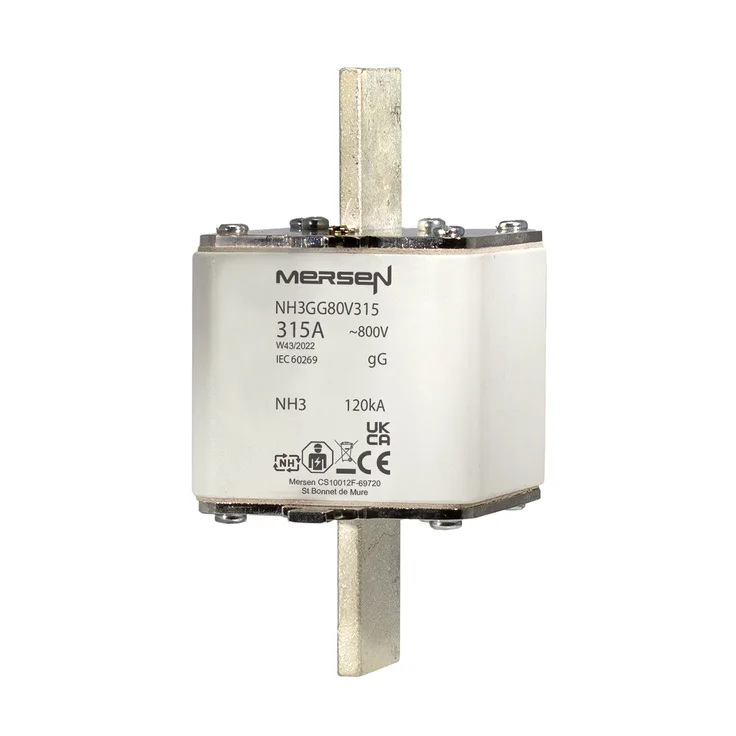 T1204182 - NH3GG80V315 Fuses | Mersen