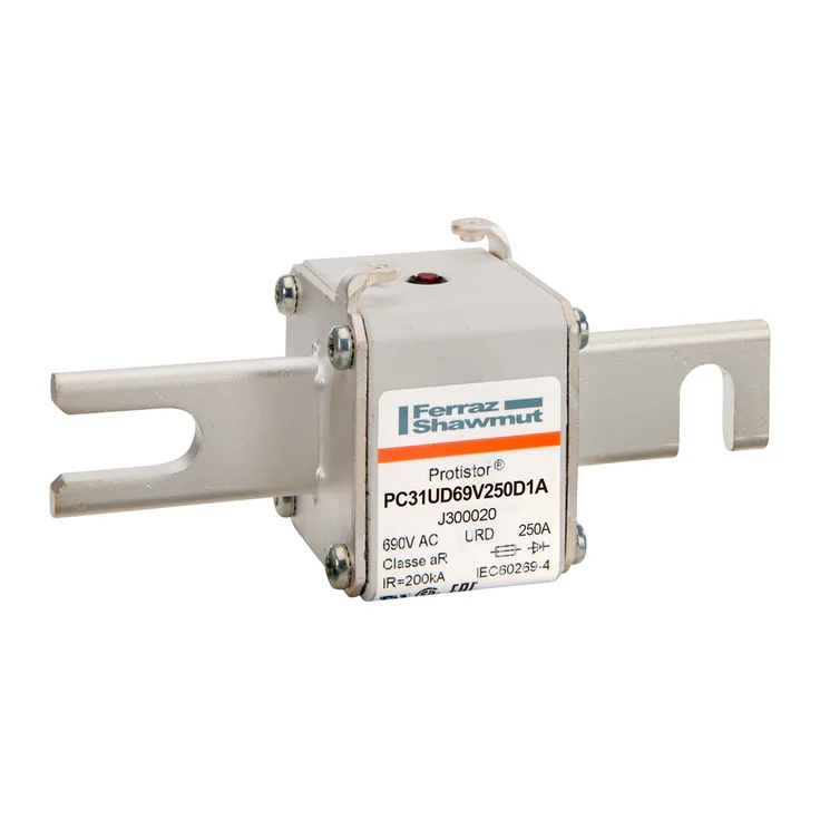 J300020 - PC31UD69V250D1A Fuses | Mersen
