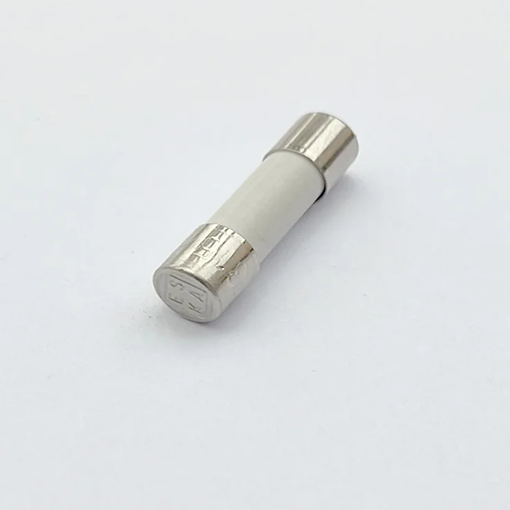 G095548Q - MI5HF25V0.1/100 Fuses | Mersen