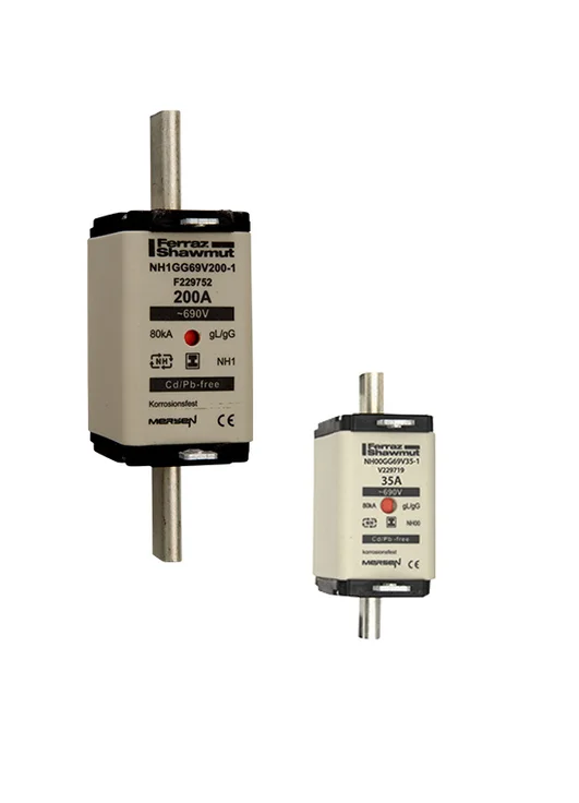 コンピュータ・IT ELECTRIC FUSES 2nd Edition T322063 - NH000GS69V100PV Fuses | Mersen
