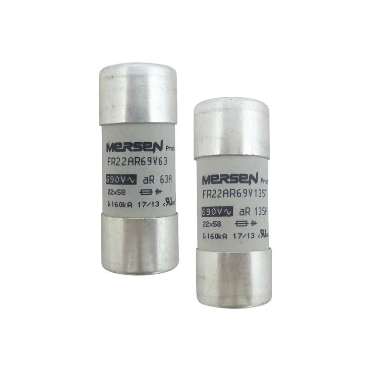 ゆきランQ FUSE 2個セット C1056668 - FR22AR69V32T Fuses | Mersen