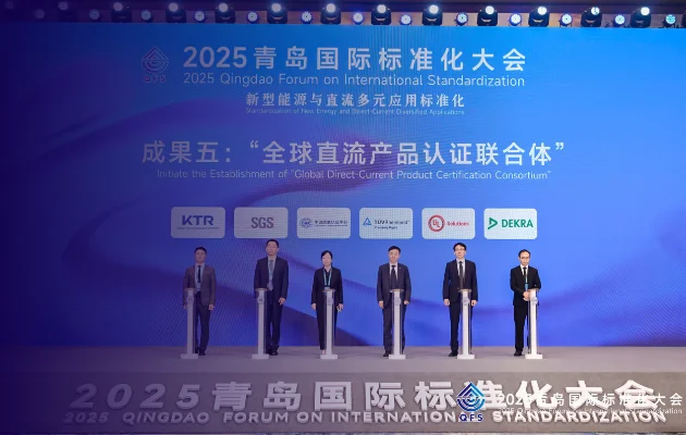 Mersen-awarded-at-the-2025-Qingdao-International-Standardization-Conference