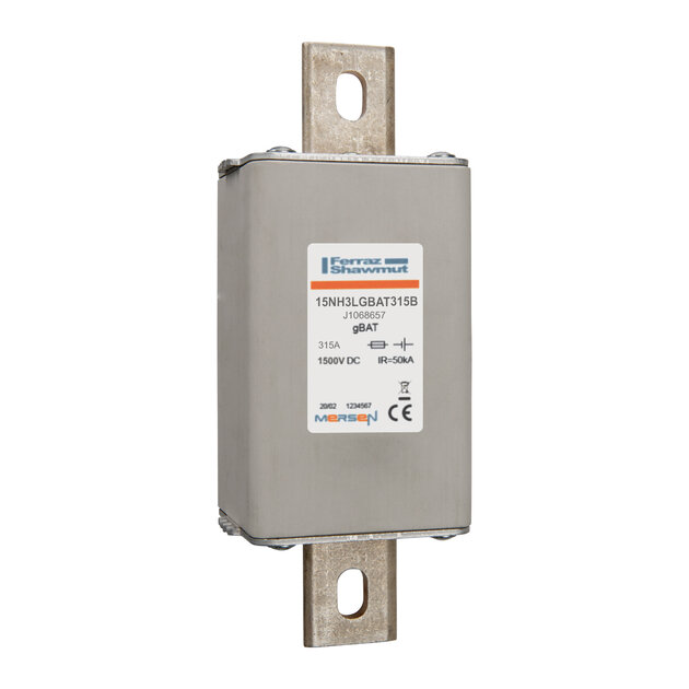 15NH3LGBAT315B.jpg?itok=YNcf4X2N