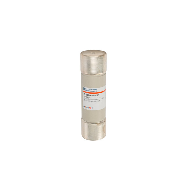 R086495 - FD36GB100V32T Fuses | Mersen