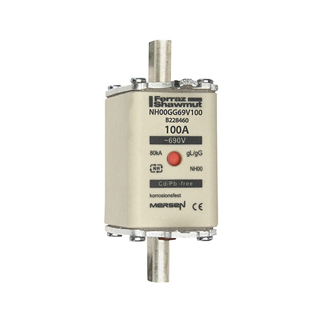 B228460 - NH00GG69V100 Fuses | Mersen