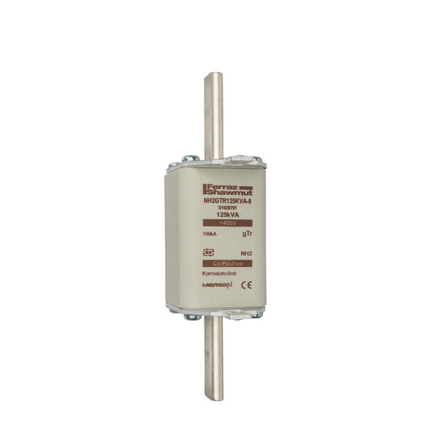 D1028701 - NH2GTR125KVA-8 Fuses | Mersen