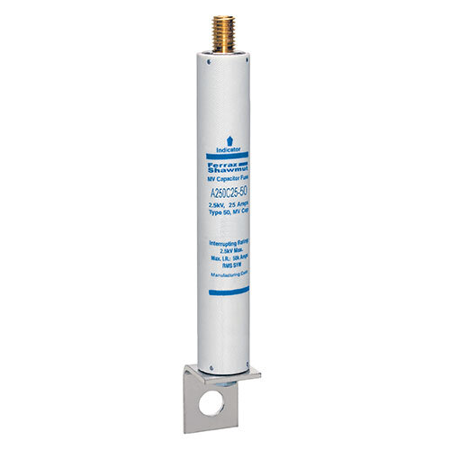 Mersen R262 A250C25-50 Fuses | Mersen