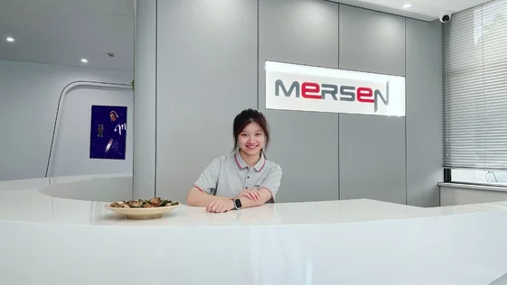 Mersen china